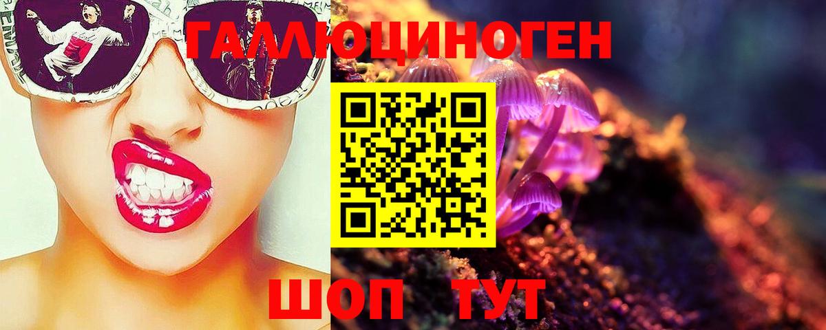 Псилоцибиновые грибы прущие грибы  Псилоцибиновые грибы GOLDEN TEACHER  Вход с VPN  Дятьково 